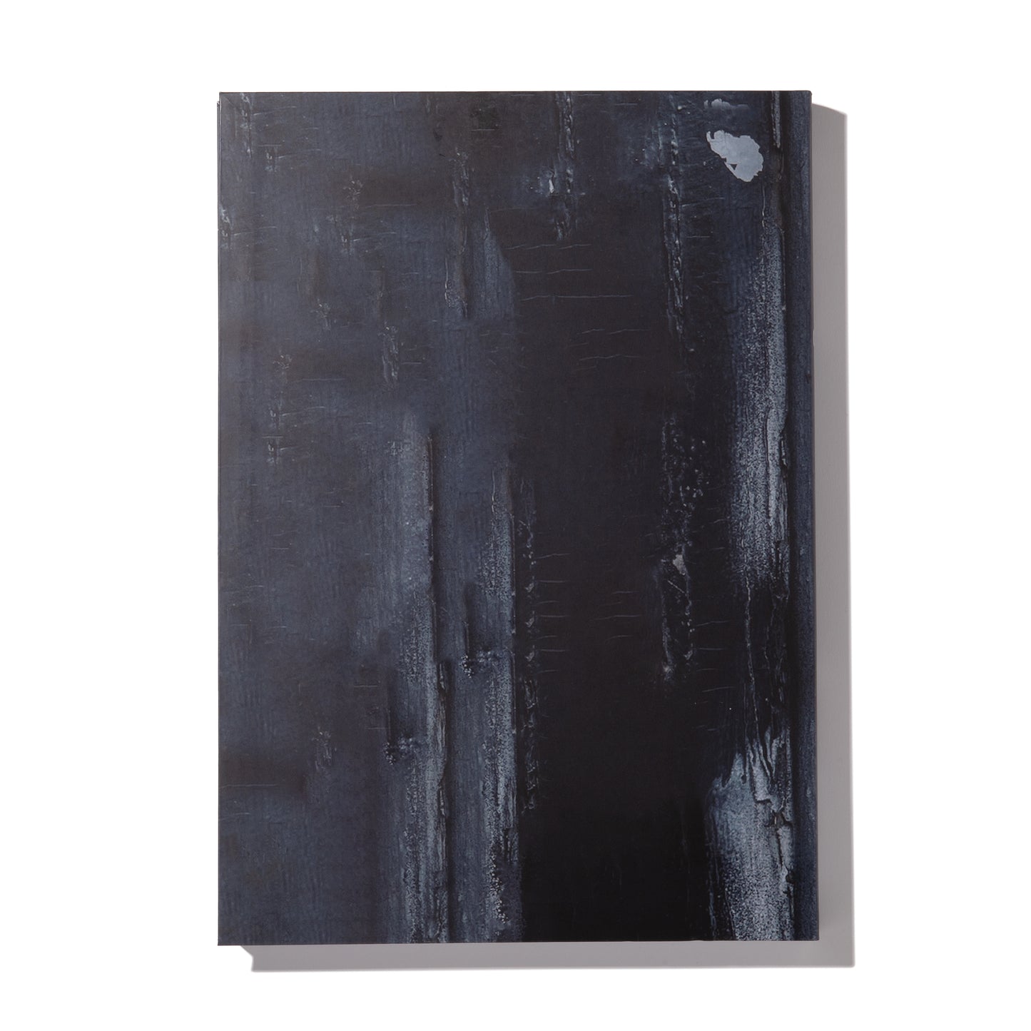 Front DOOR - Curtis Kulig