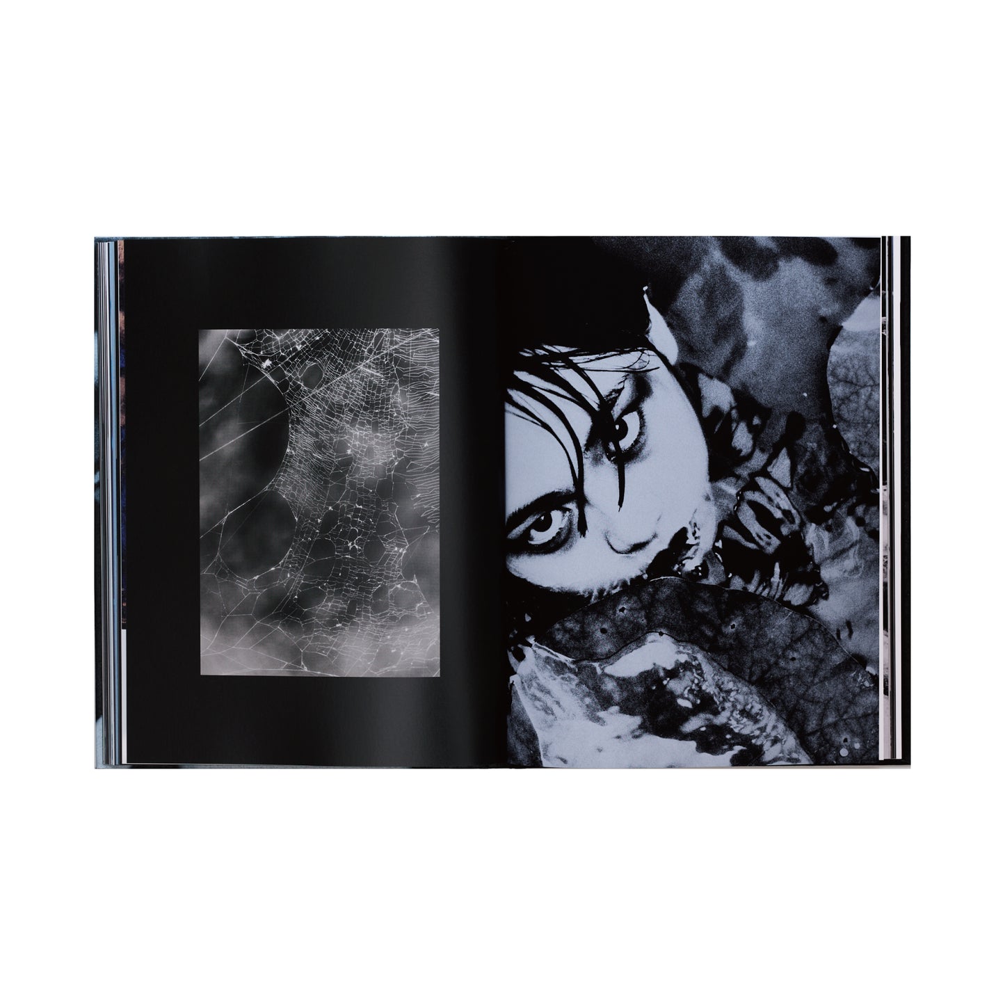 SHADOWS - John Clayton Lee